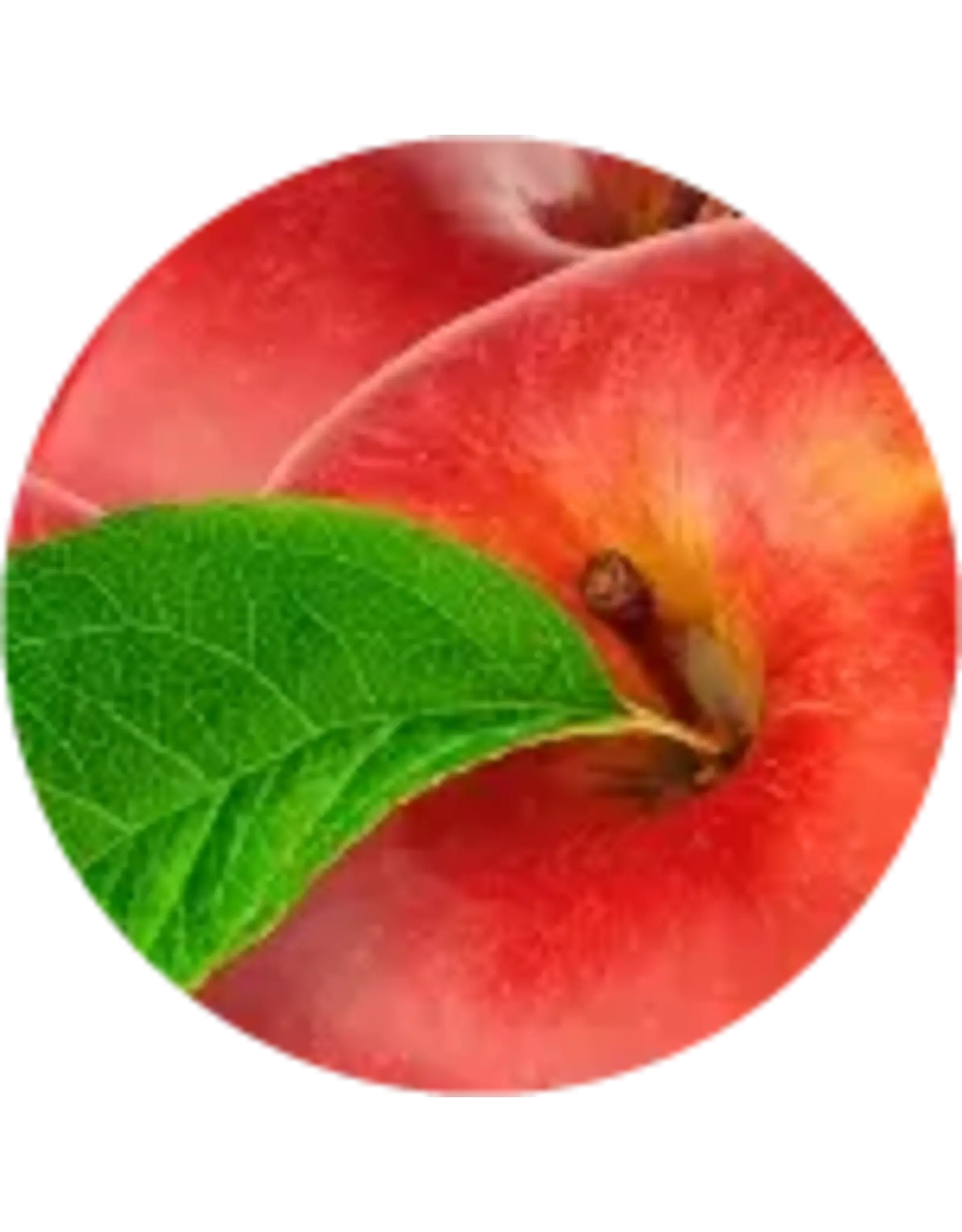 Brewer's Best All natural extract 4 oz Apple