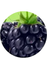 Brewer's Best All natural extract 4 oz Blackberry