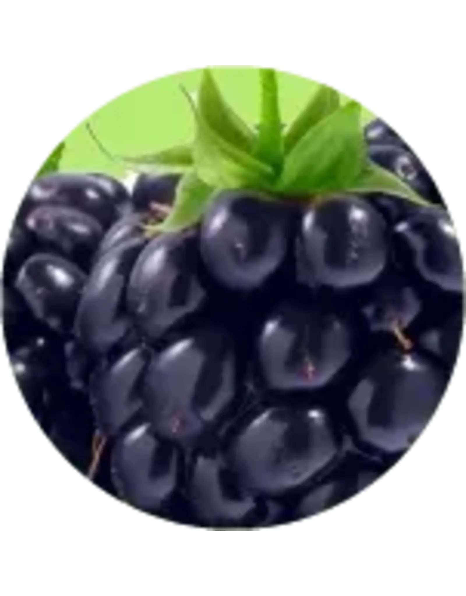 Brewer's Best All natural extract 4 oz Blackberry