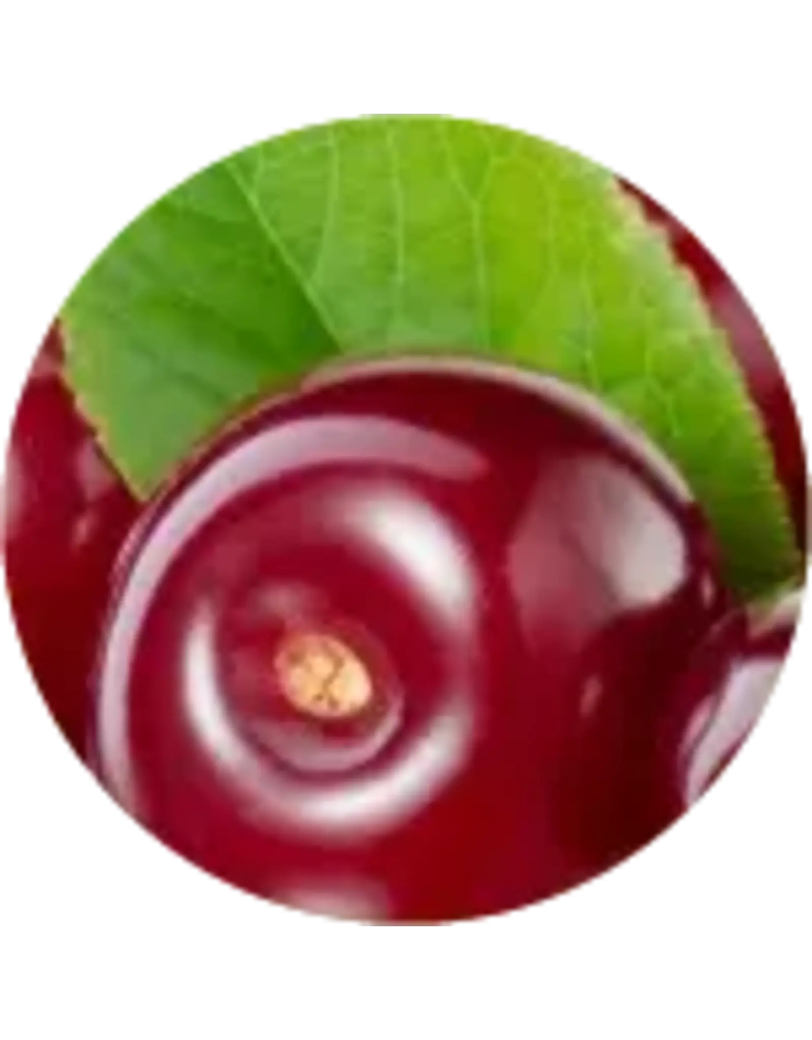 Brewer's Best All natural extract 4 oz Cherry