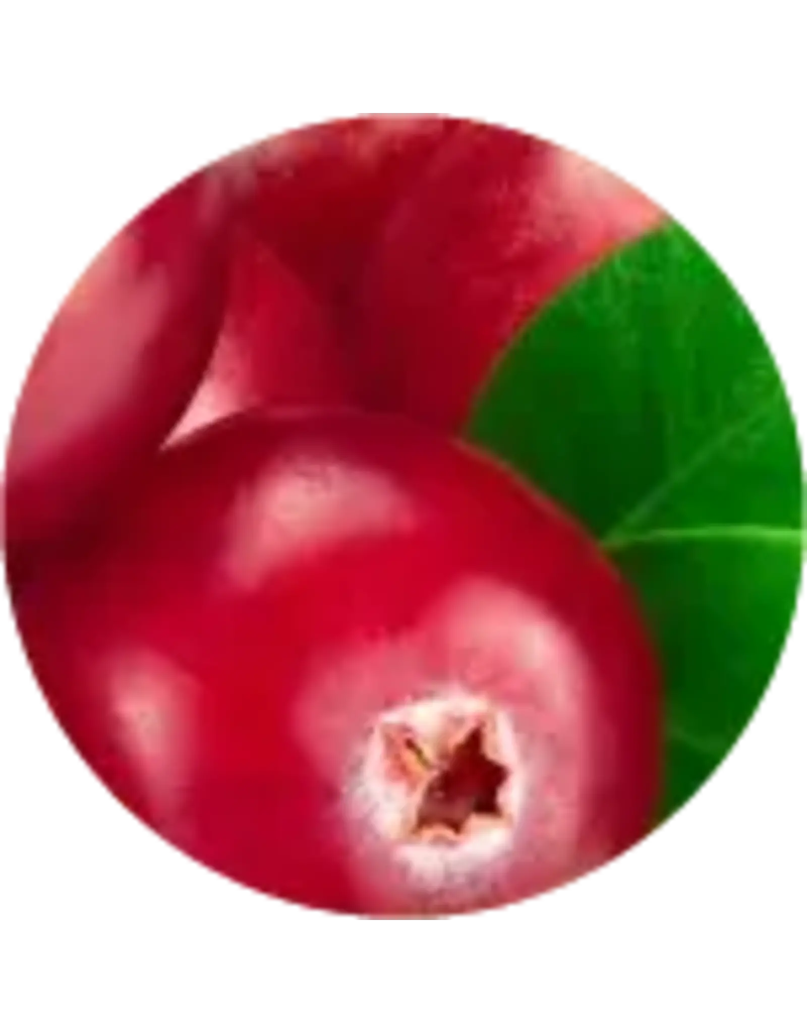 Brewer's Best All Natural Extract 4 oz Cranberry