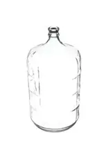 BSG Glass Carboy - 6 Gallons