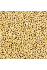 Avangard AVANGARD MALZ PREMIUM 6-ROW MALT (2L) 1 LB