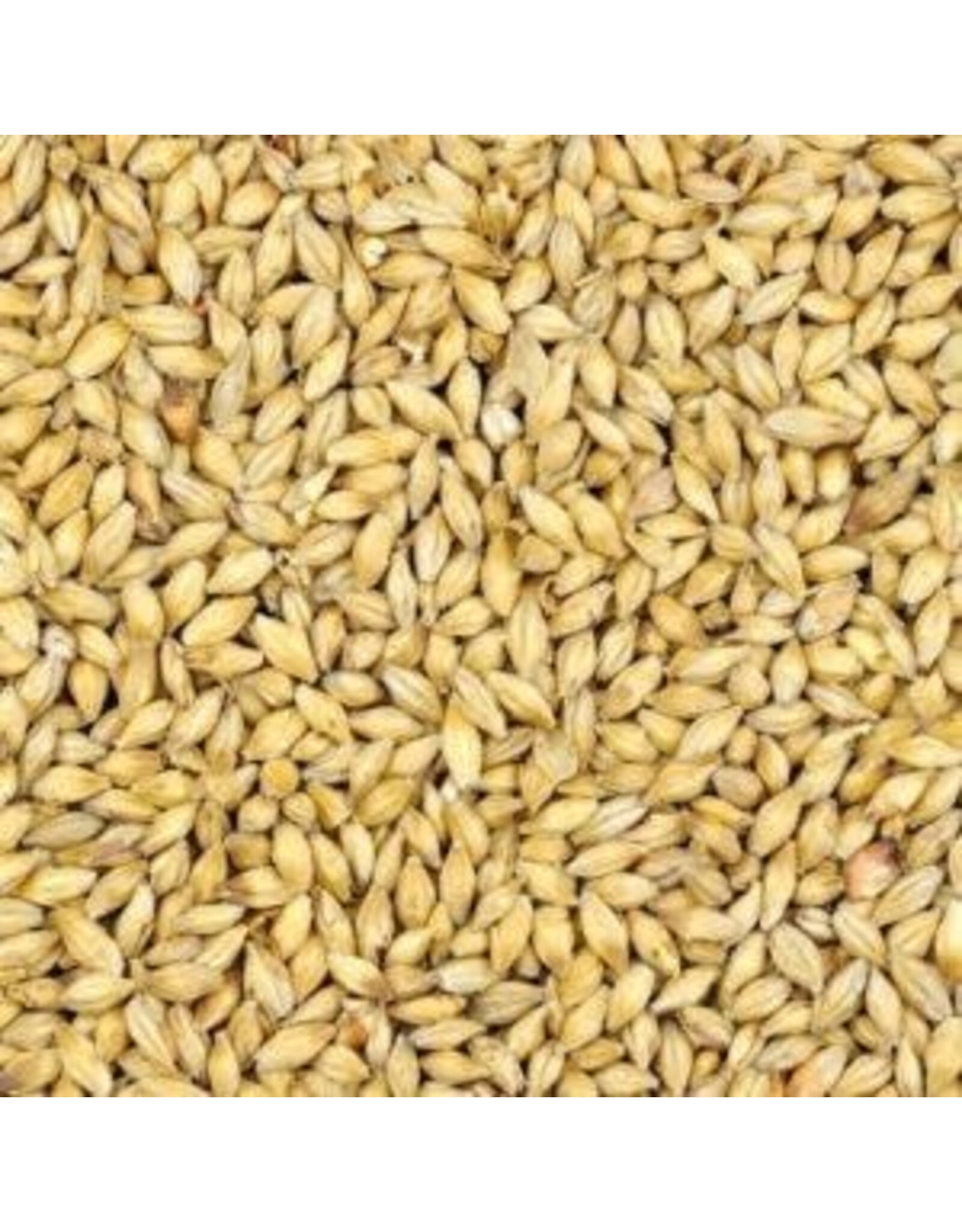Avangard AVANGARD MALZ PREMIUM 6-ROW MALT (2L) 1 OZ