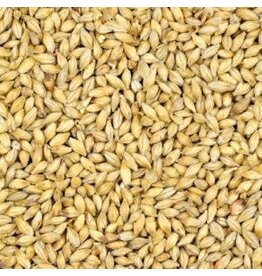 Avangard AVANGARD MALZ PREMIUM 6-ROW MALT (2L) 1 OZ