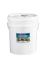 Monarchs Choice Bucket Honey