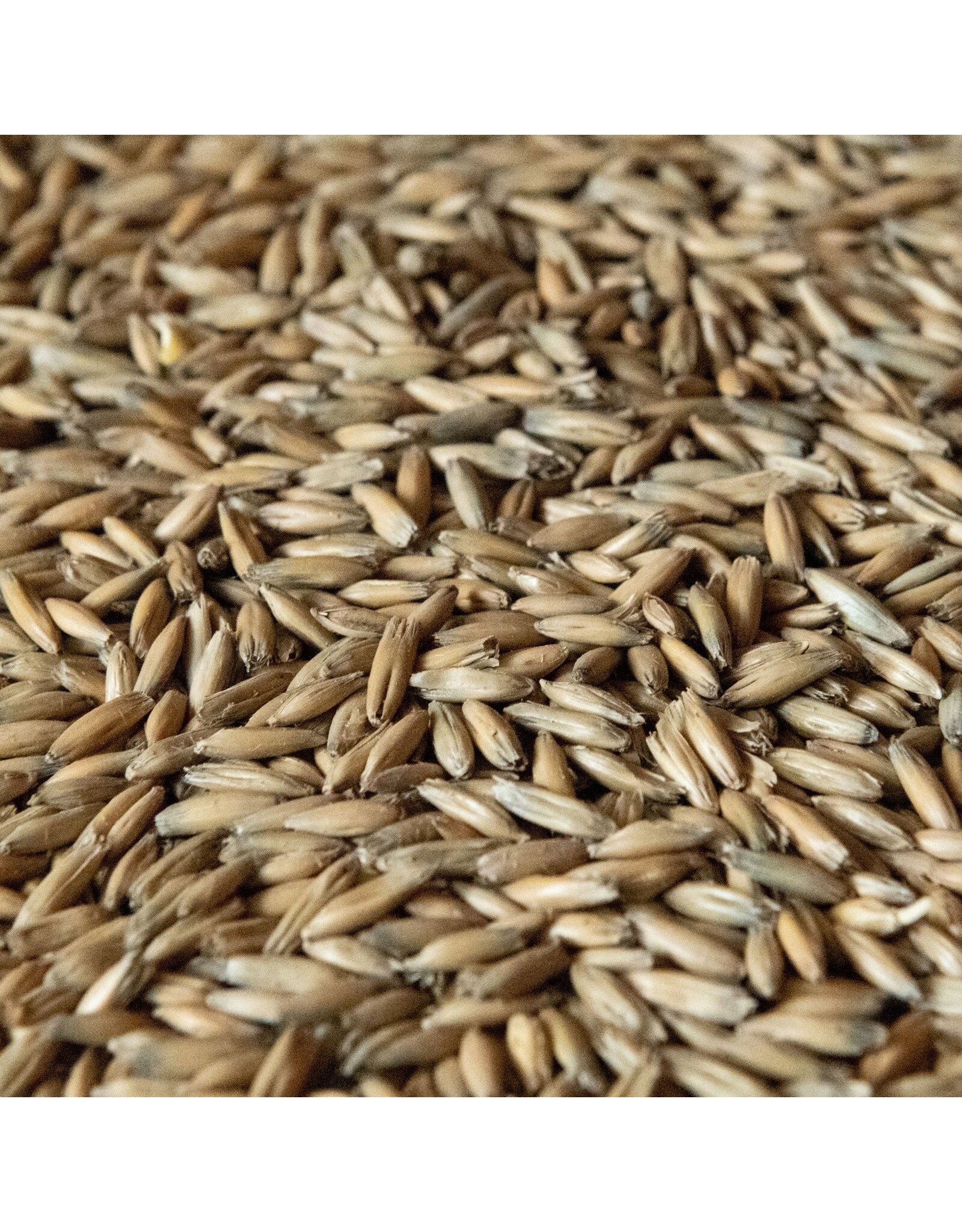Rahr Rahr Malted Oats 1 Lb.