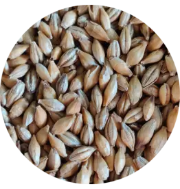 Crisp Crisp Chit Malt-1 Lb
