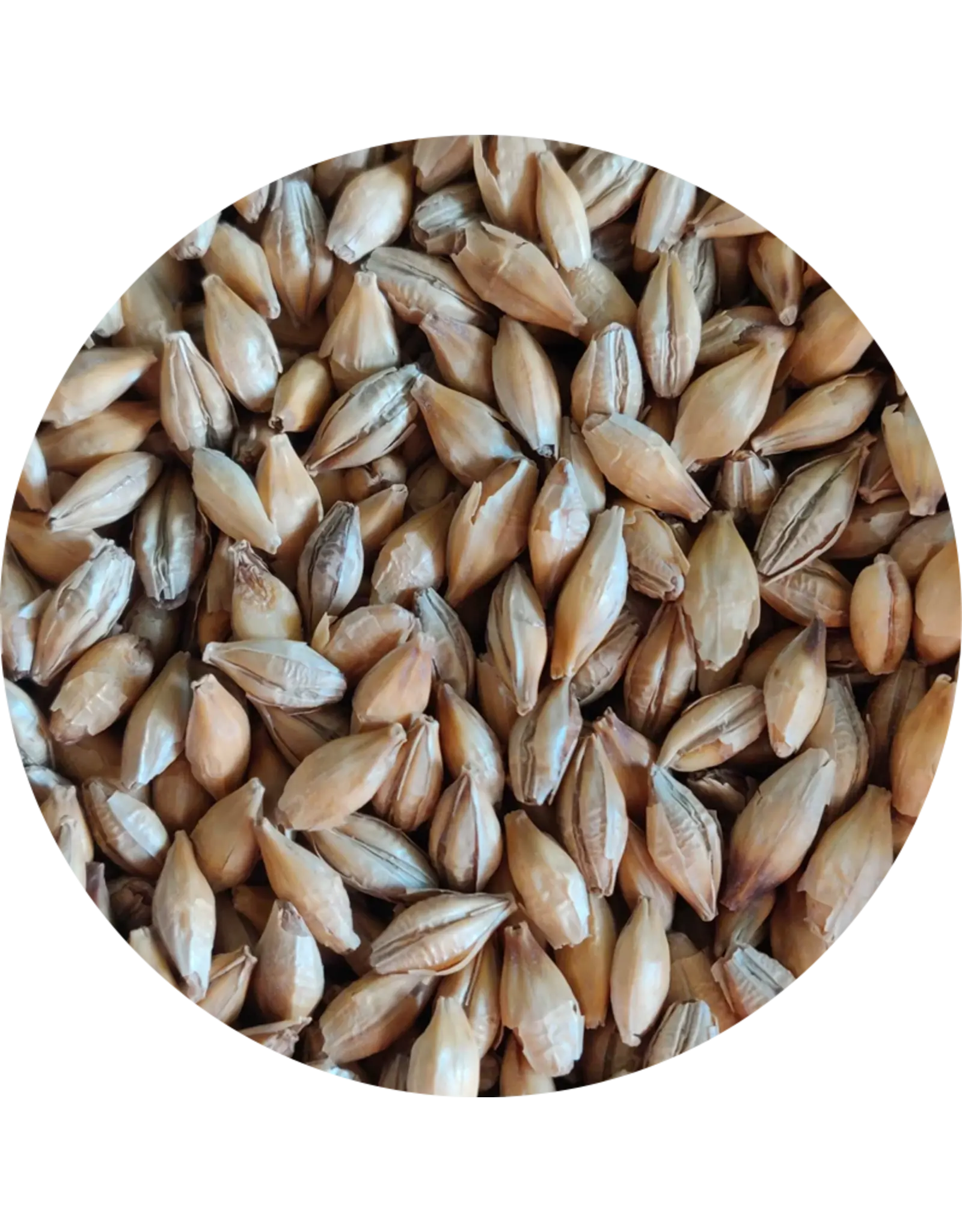 Crisp Crisp Chit Malt-1oz.