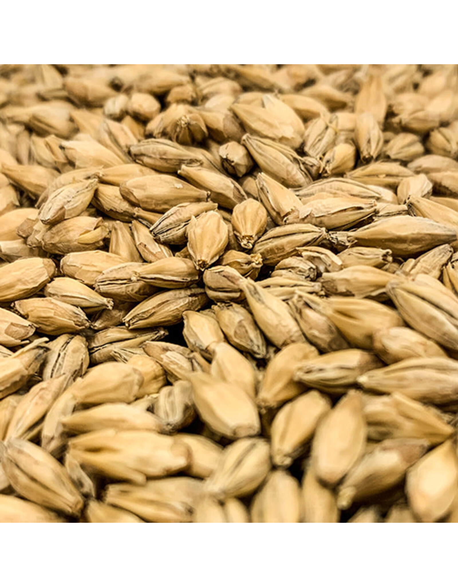 Rahr Rahr Dextrin Malt-1 oz.