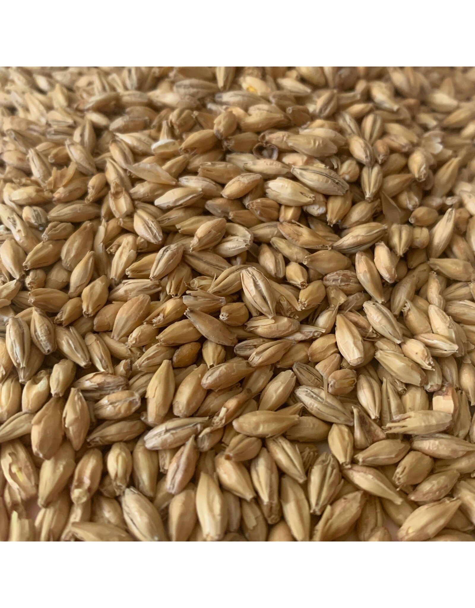 Rahr Rahr North Star Pils malt 1 LB
