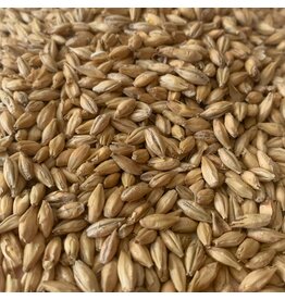 Rahr Rahr North Star Pils malt 1 LB