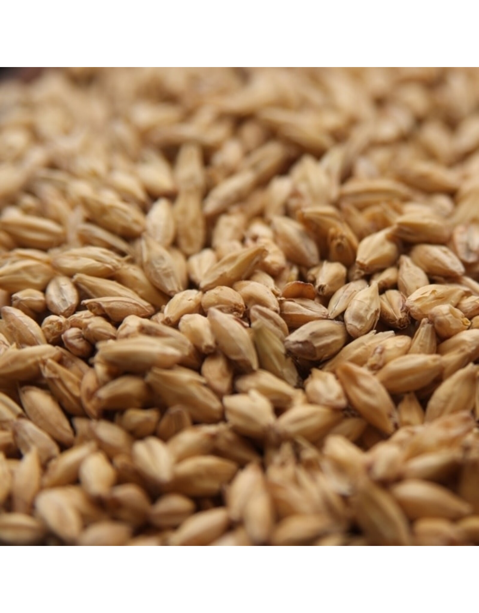 Rahr Distillers Malt Rahr
