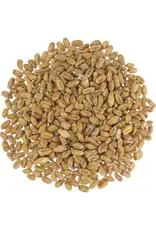 Weyermann German Pale Wheat Malt - Weyermann® Specialty Malts - 55 Lb.