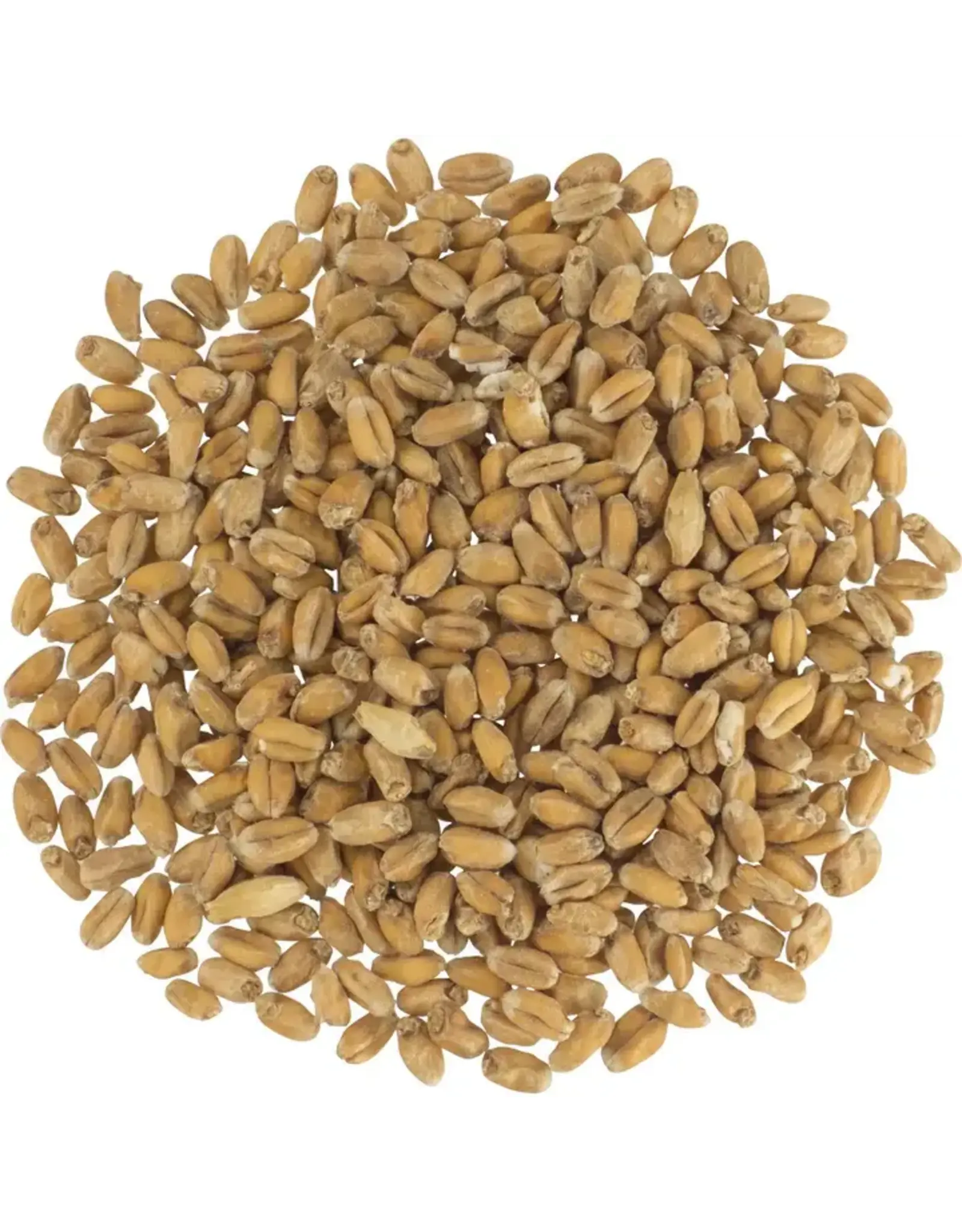 Weyermann German Pale Wheat Malt - Weyermann® Specialty Malts - 55 Lb.