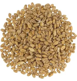 Weyermann German Pale Wheat Malt - Weyermann® Specialty Malts - 55 Lb.
