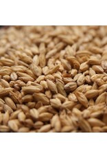 Rahr 2 Row Rahr Malt 1.9L 55 LB