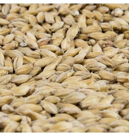 Gambrinus Gambrinus Vienna Malt 1 Lb.