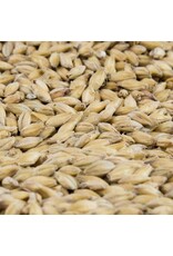 Gambrinus Gambrinus Vienna Malt 1 oz.