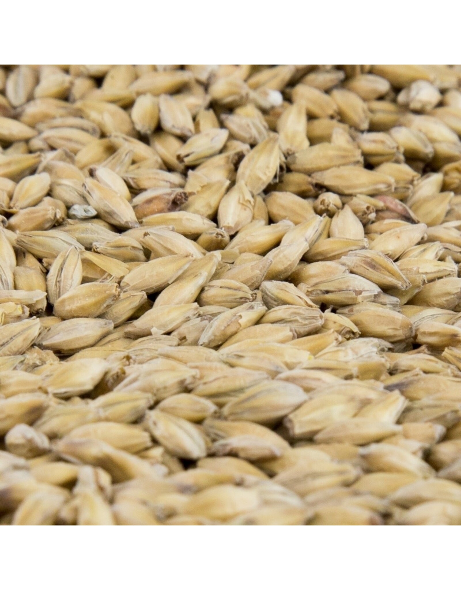 Gambrinus Gambrinus Vienna Malt 1 oz.