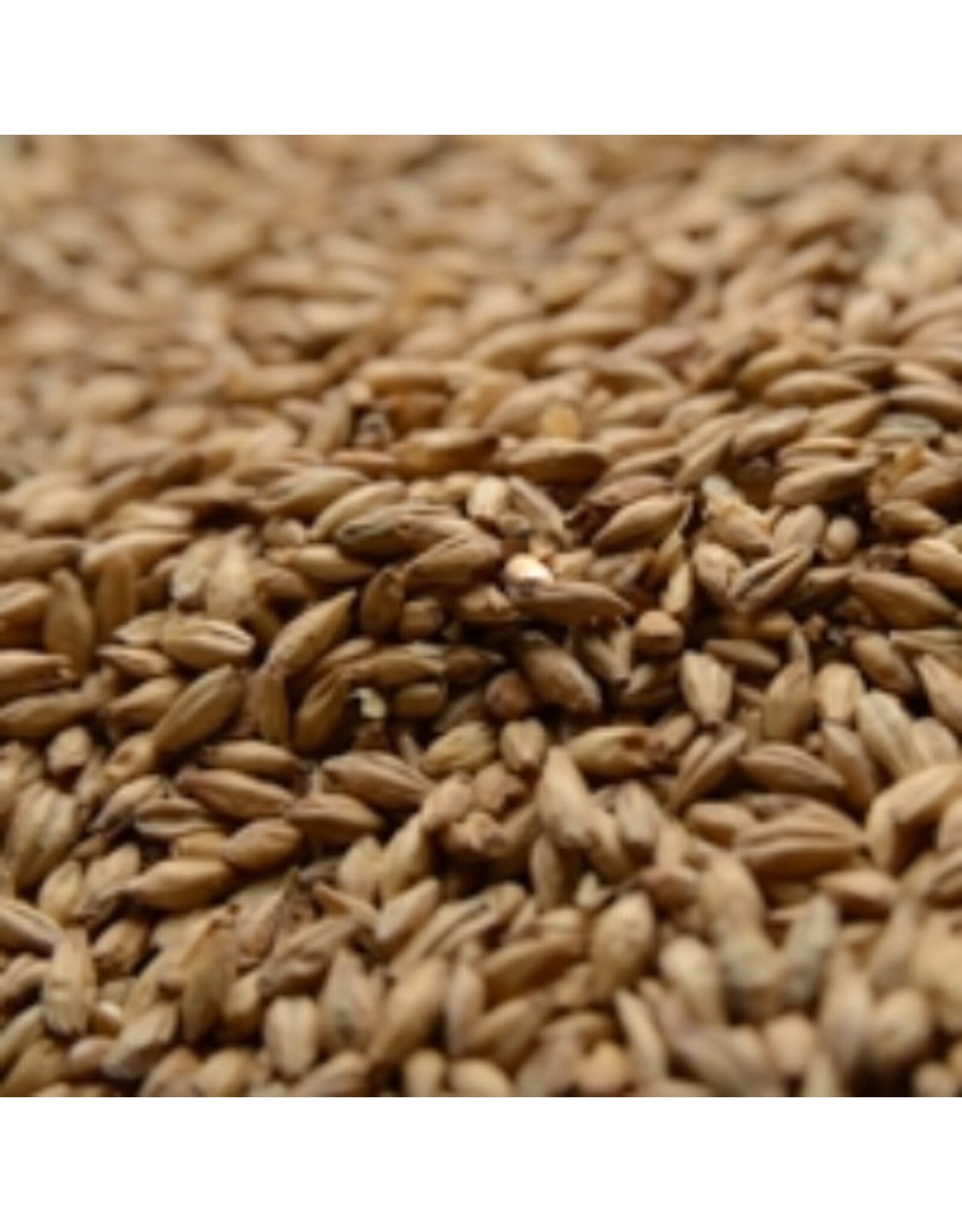 Briess 2 Row Brewers Malt 1.8L Briess 50 LB