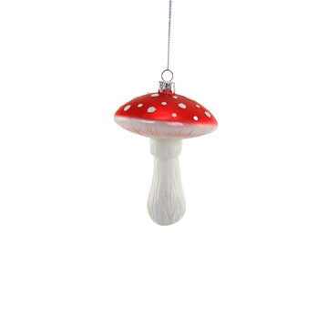 https://cdn.shoplightspeed.com/shops/641068/files/57347304/360x360x2/cody-foster-co-cosmic-mushroom-glass-ornament.jpg