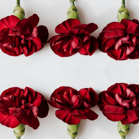 Valentine's Day Gifts