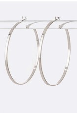 Classic Hoops Earrings