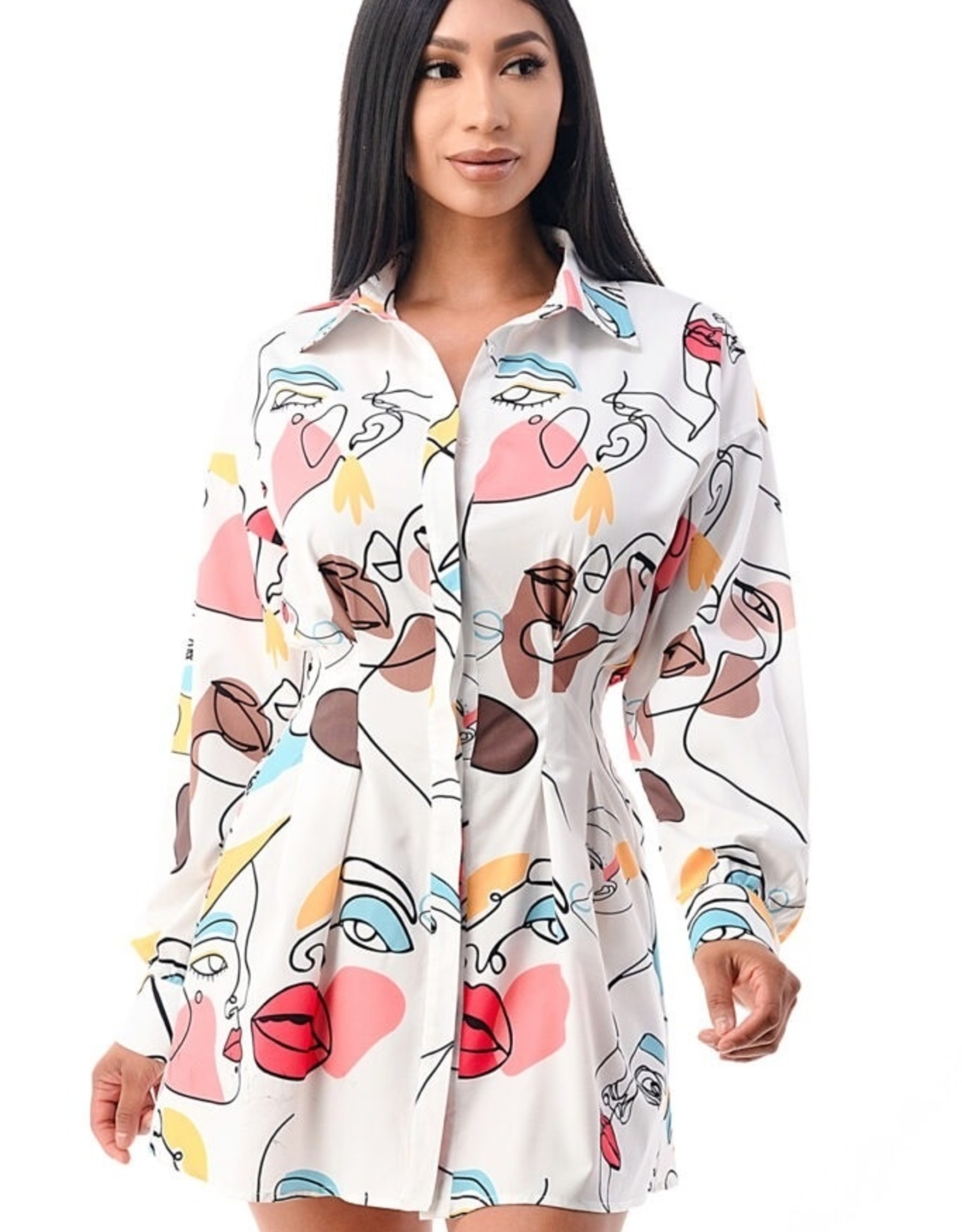 Work Of Art Shirt Dress