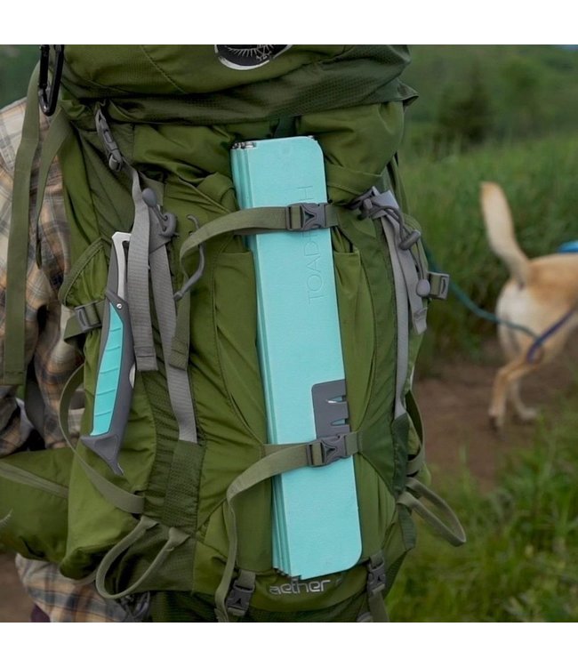 Toadfish Toadfish Folding Cutting Board w/Built in Knife Sharpener - Teal