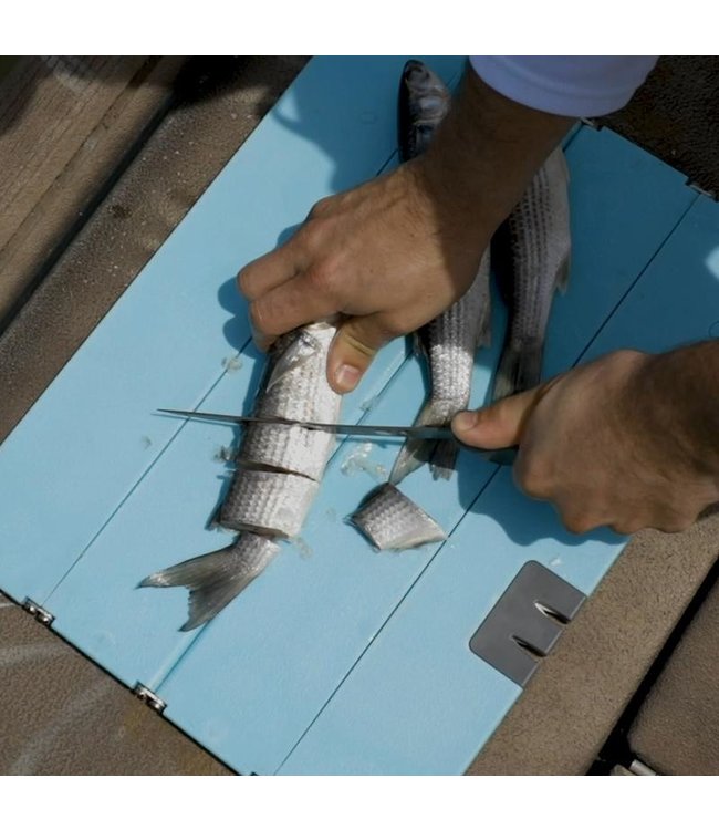 Toadfish Toadfish Folding Cutting Board w/Built in Knife Sharpener - Teal