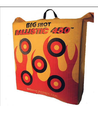 Big Shot Ballistic 450X Bag Targets