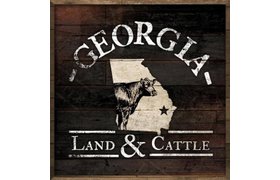 GA Land & Cattle