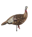 AvianX Avian X LCD Lookout Hen