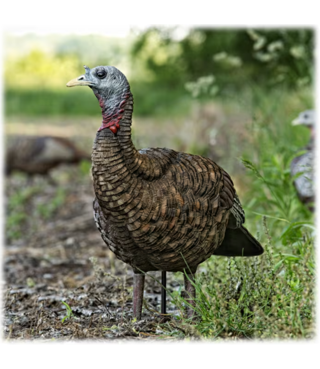 AvianX Avian X LCD Lookout Hen