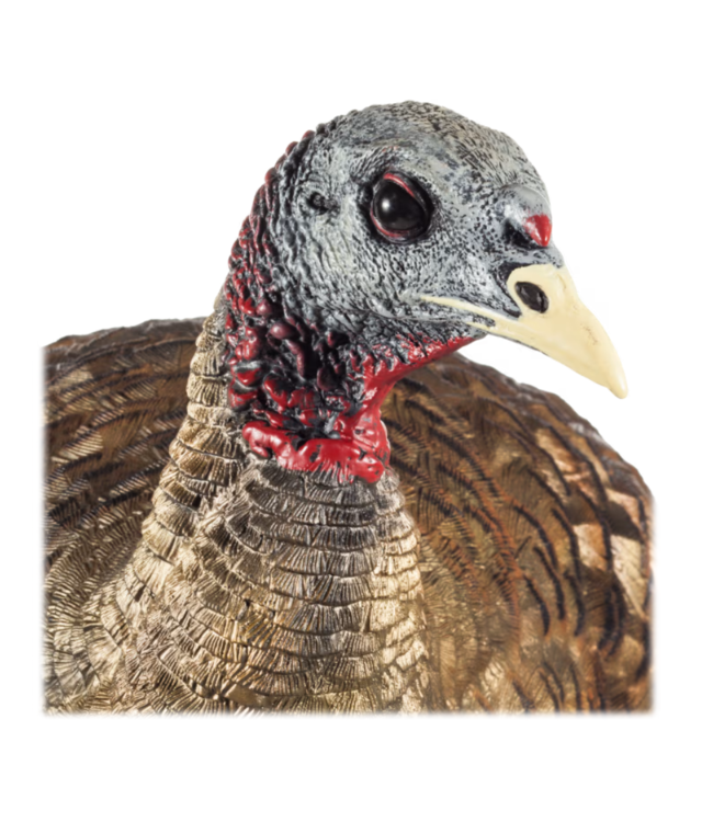 AvianX Avian X LCD Breeder Hen