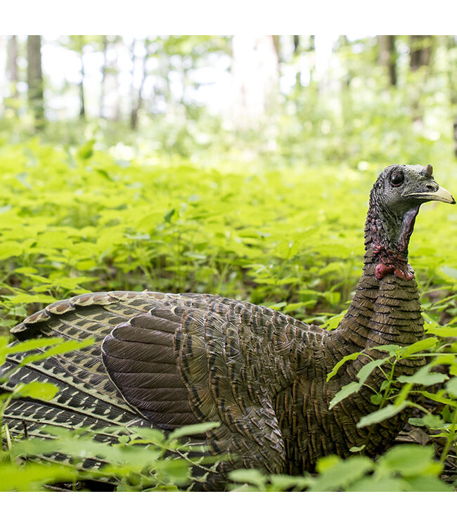 AvianX Avian X LCD Laydown Hen