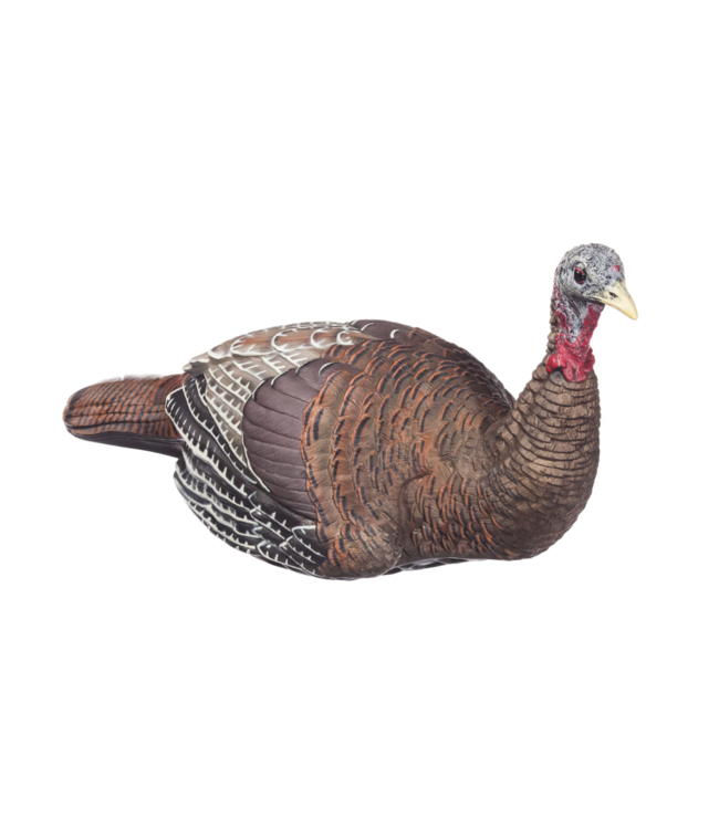 AvianX Avian X LCD Laydown Hen