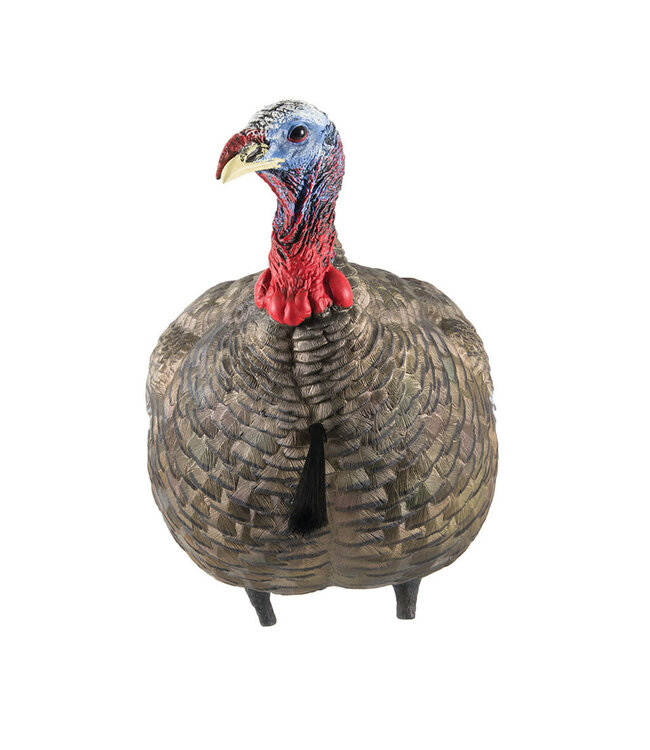 AvianX Avian X LCD Quarter Strut Jake