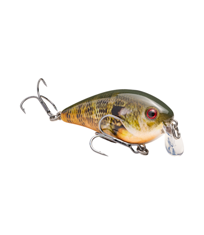 Strike King KVD Square Bill 1.5 Shallow Crankbait