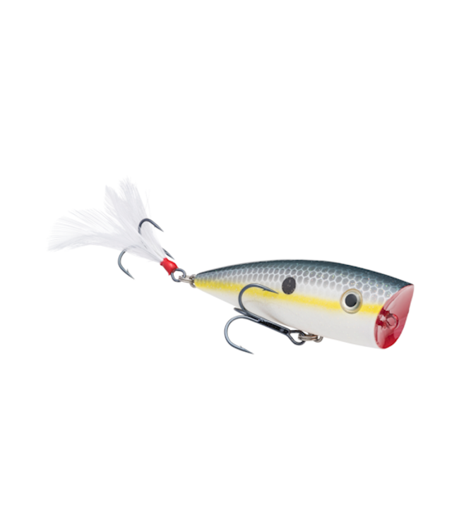 Strike King KVD Splash