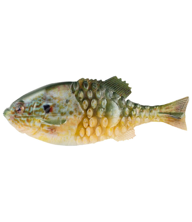 Berkley Berkley PowerBait Gilly