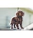 Scent South Boykin Air Freshener