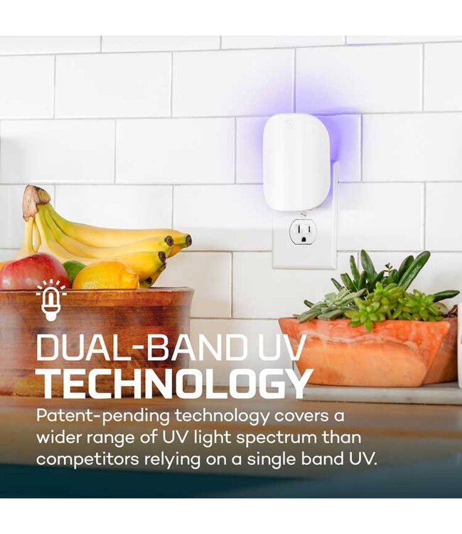 NEBO Insect Trap Glue Card Refill 6 pack