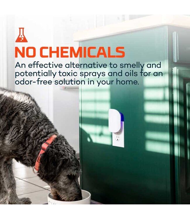 NEBO Insect Trap Glue Card Refill 6 pack