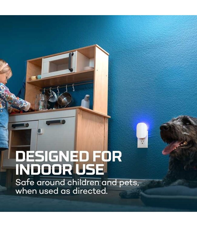 NEBO Insect Trap Glue Card Refill 6 pack