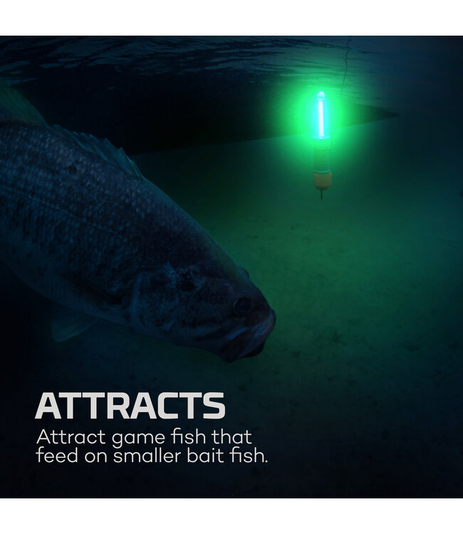 NEBO SUBMERSER 500 Submersible Fishing Light