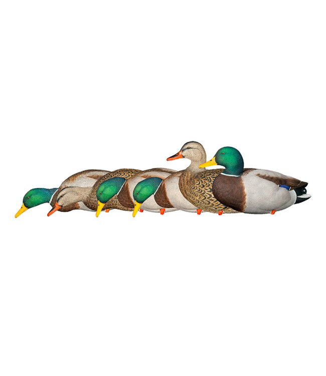 AvianX Avian X AXP Full Body Mallards: Fusion Pack