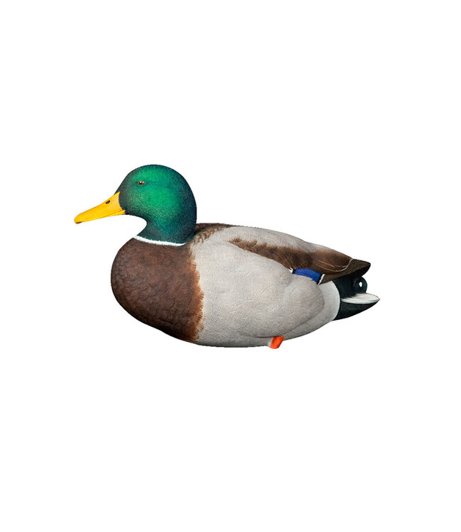 AvianX Avian X AXP Full Body Mallards: Fusion Pack