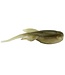 Mr. Crappie Mr Crappie Sugar Glider Soggy Shiner